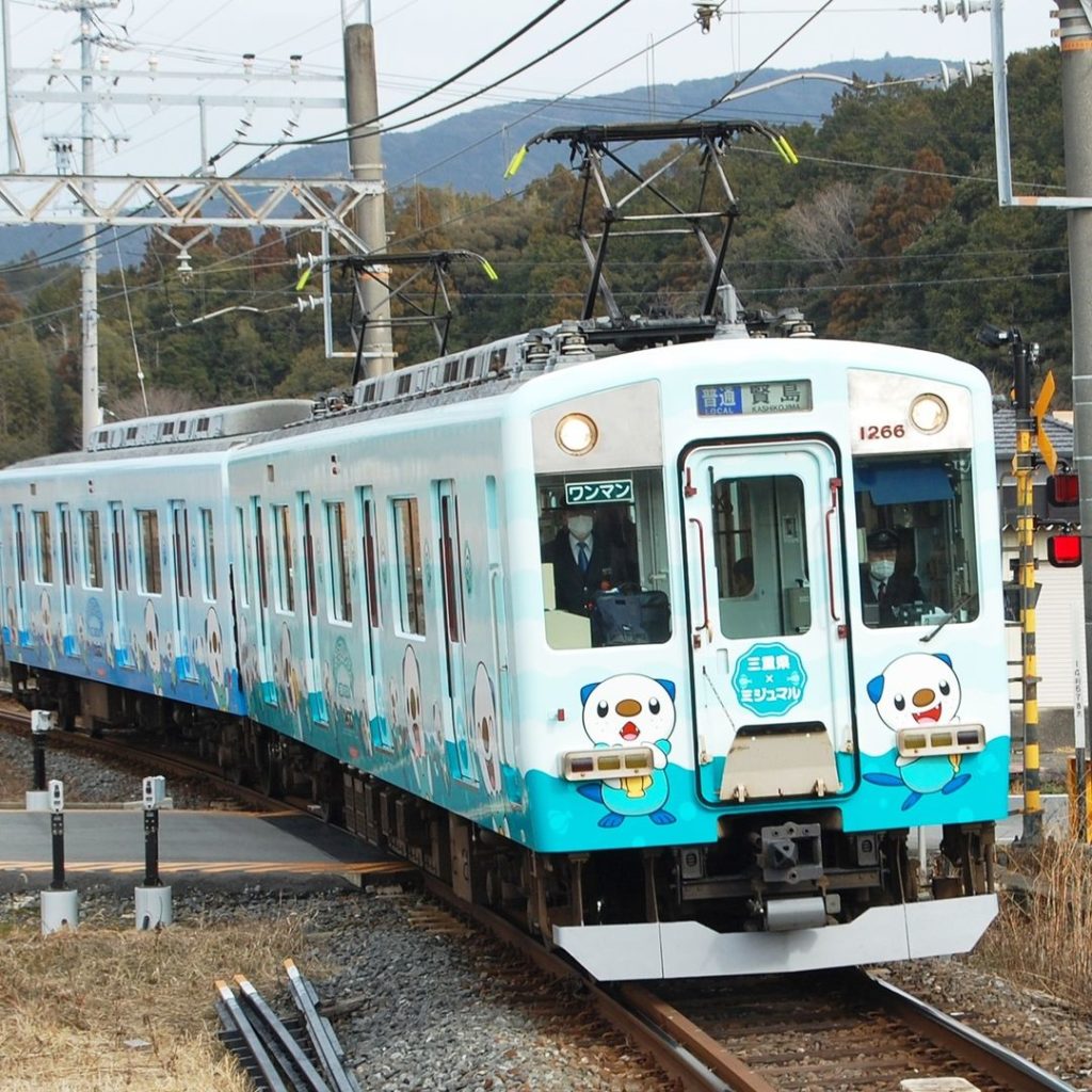 All aboard the Oshawott Train!  This adorable train debuted earlier this year i...