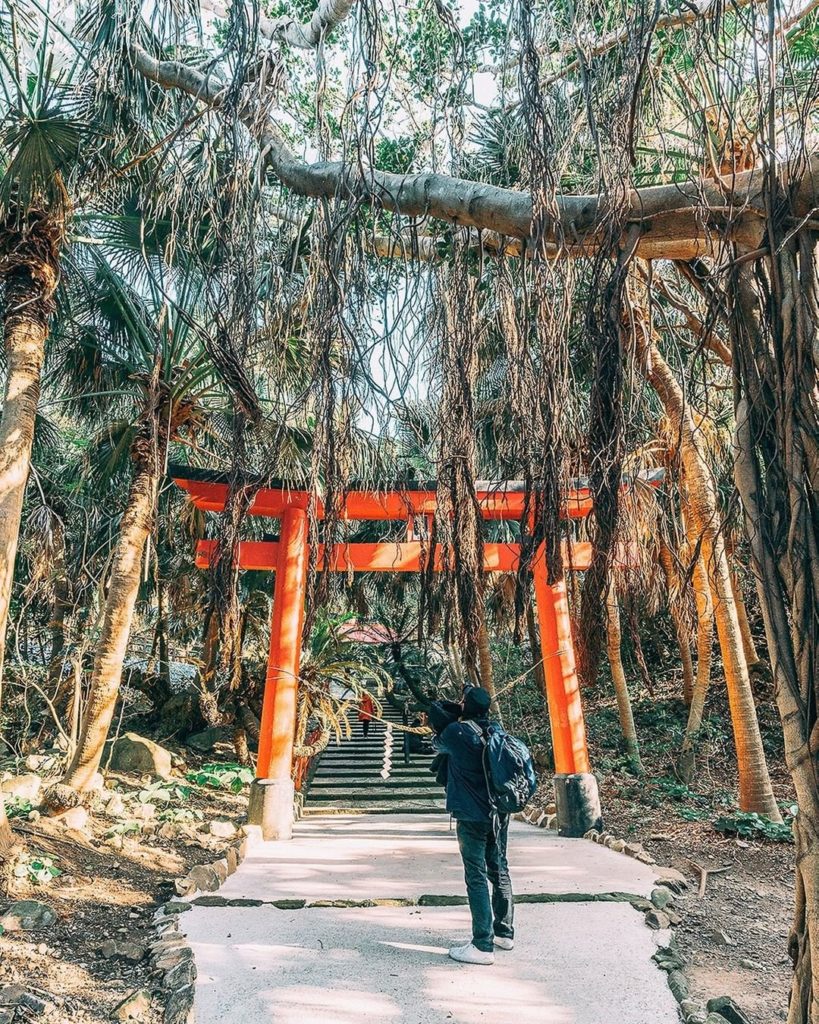 Visit Japan: Have you ever seen tropical trees that look like they could be Torii Gates befor… Have you ever seen tropical trees that look like they could be Torii Gates befor...