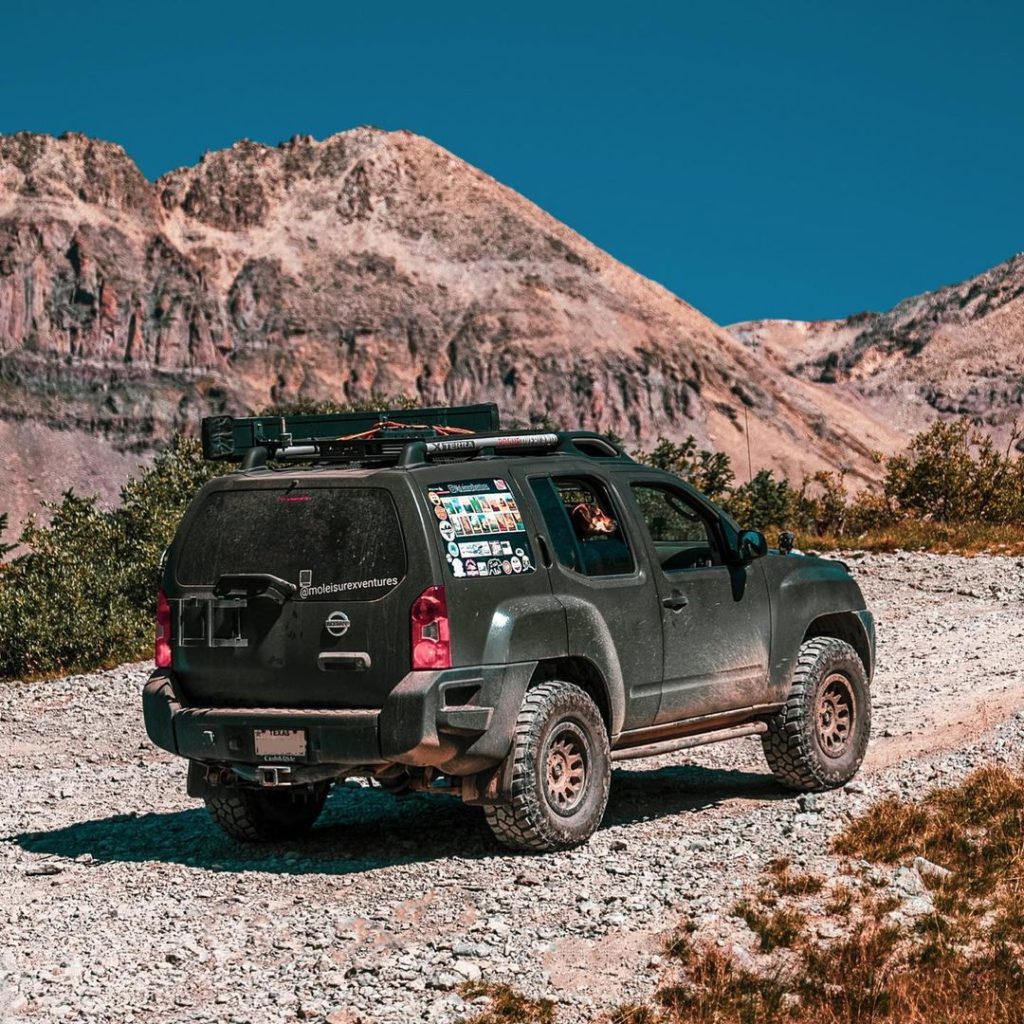 The best kind of road trip buddy! #NissanPets #NissanDog #PetsofInstagram #Nissa...
