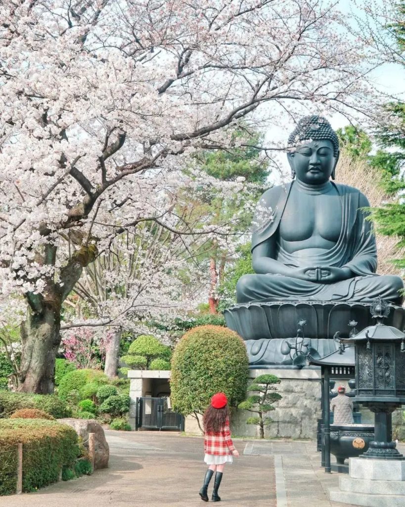 Located on the grounds of Jorenji Temple, the Tokyo Daibutsu is the third larges...