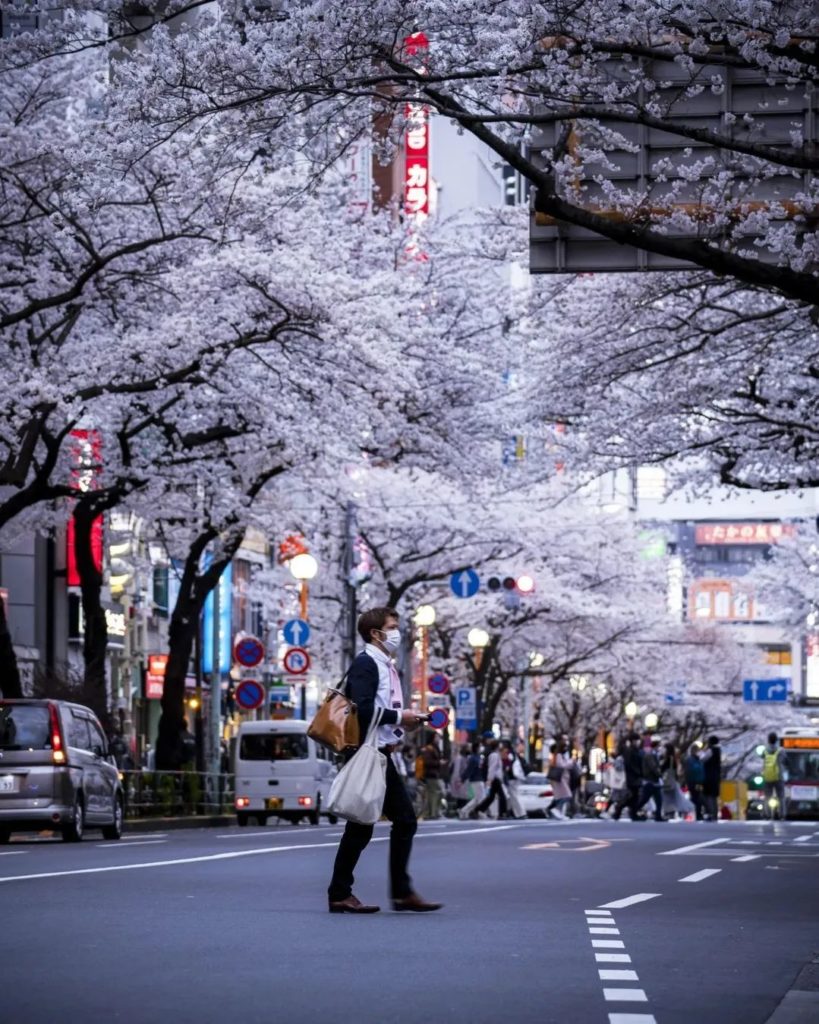 Spring on the streets of Nakano 
 @marwah_setiawan
-----
Nakano, #Tokyo
.
.
.
...