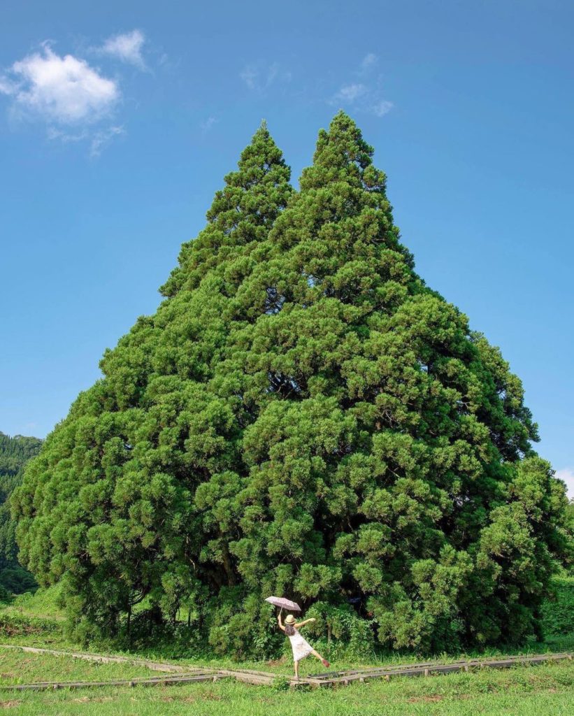 If you visit Mogami in Yamagata, you might meet an anime character! This charact...