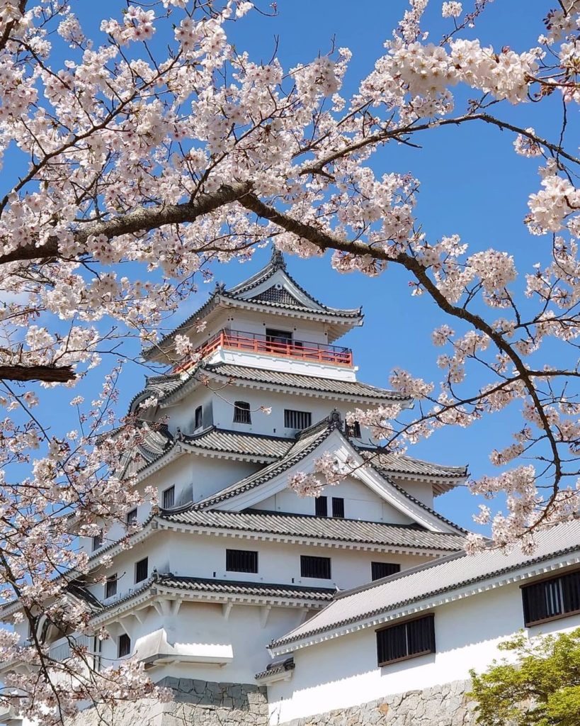 Doesn't the cherry blossom make a magnificent frame for this impeccable castle? ...