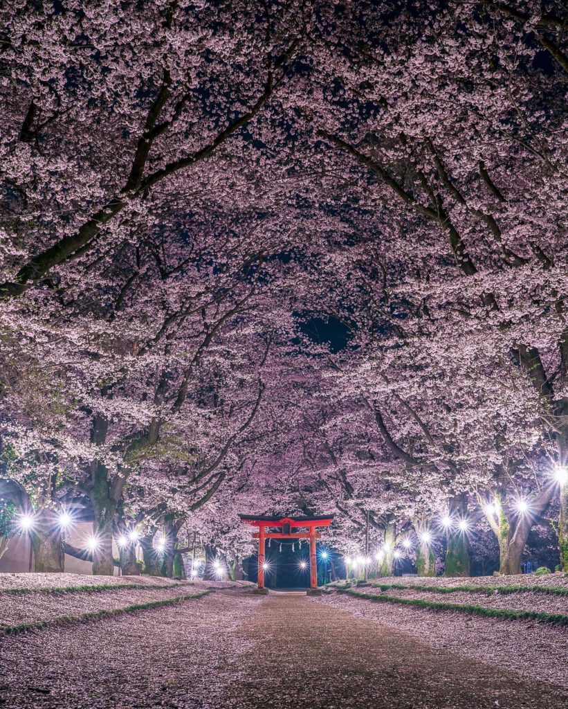 Ibaraki Prefecture, Yachiyo | Higashi-fukita Tenman-sha | Credit: @kyoko1903