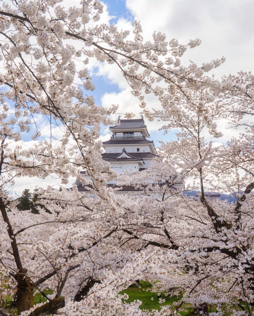 Fukushima Prefecture, Aizuwakamatsu - Tsuruga Castle | Credit: @kyoko1903