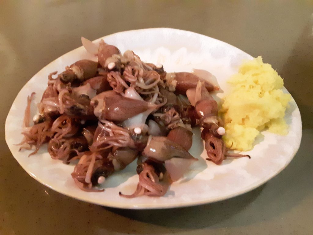 ホタルイカ