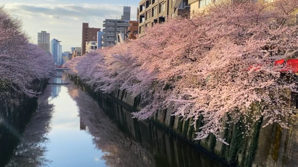 Meguro River - Tokyo