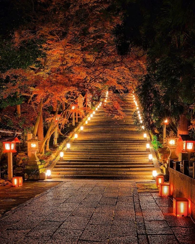 Kyoto Prefecture, Kyoto | Horin-ji Temple | Credit: @tatikoma1984