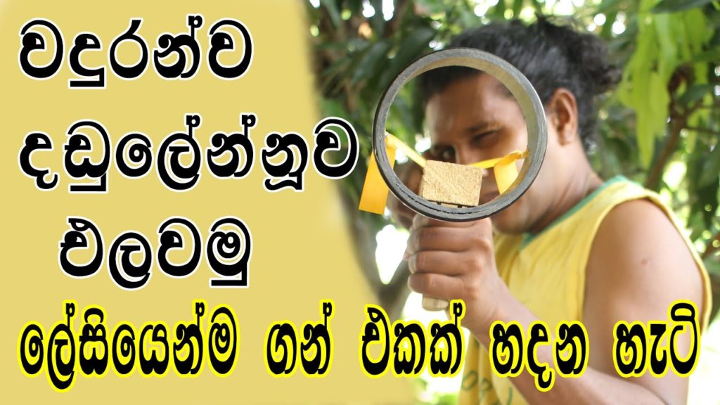 වගාව බේරා ගන්න වඳුරන්ව දඬුලේන්නුව එලවන්න ලේසියෙන්ම ගන් එකක් හදමු.