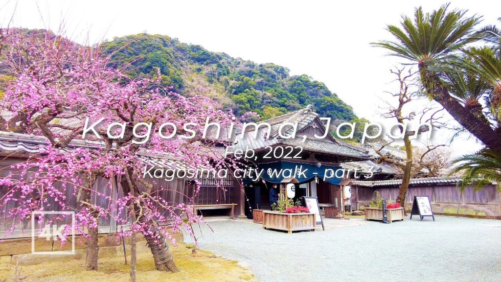 [4K] Japan travel daytime walk| Kagoshima City | Sengan en garden Sakurajima volcano  | 鹿児島市 仙厳園 桜島