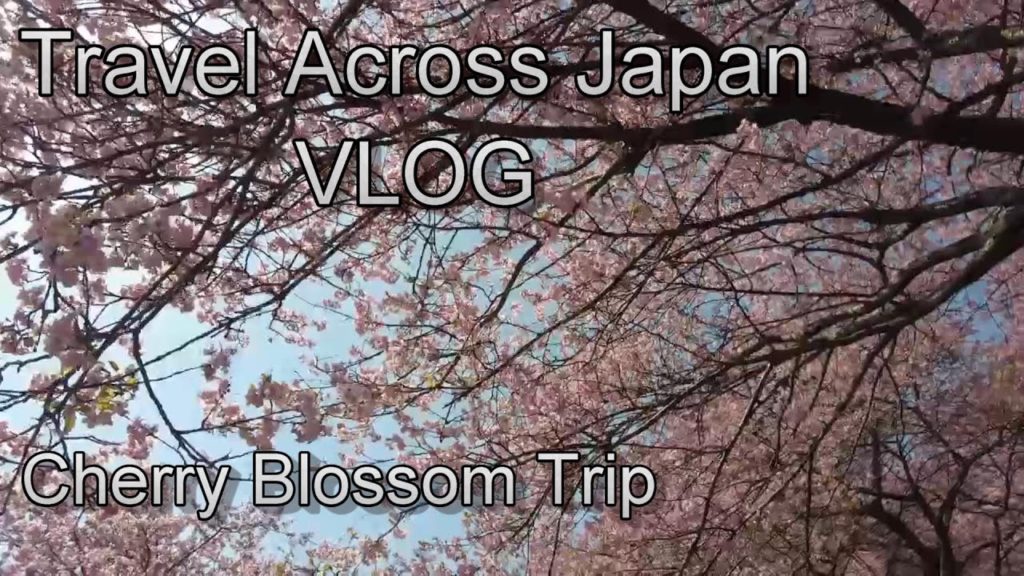 Travel Across Japan VLOG Cherry Blossom Trip (Caption Available)