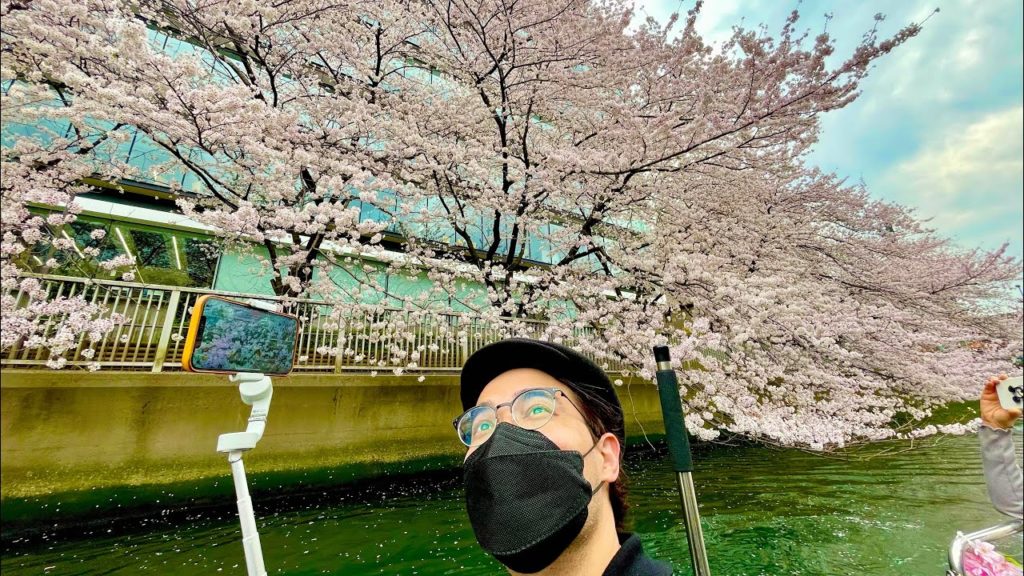 🔴Sakura Livestream Cherry Blossoms Day 5 – Sakura River Cruise 2022 🔴Sakura Livestream Cherry Blossoms Day 5 - Sakura River Cruise 2022
