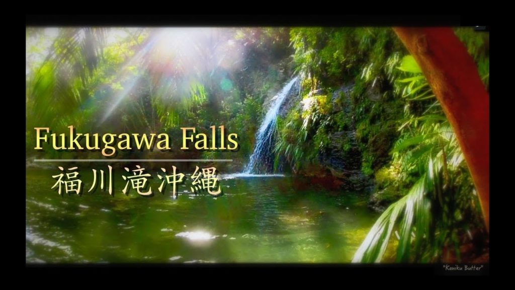 Fukugawa falls : Okinawa Japan