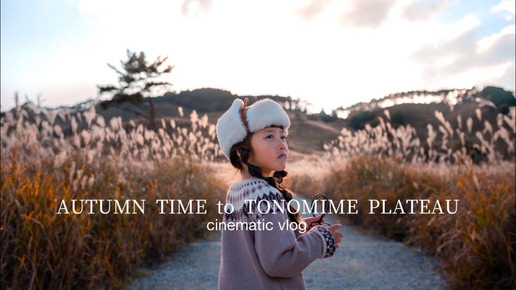 AUTUMN TIME to TONOMINE PLATEAU / CINEMATIC VLOG shot on SONY A7III / 砥峰高原~峰山高原(ノルウェイの森 ロケ地) AUTUMN TIME to TONOMINE PLATEAU / CINEMATIC VLOG shot on SONY A7III / 砥峰高原~峰山高原(ノルウェイの森 ロケ地)