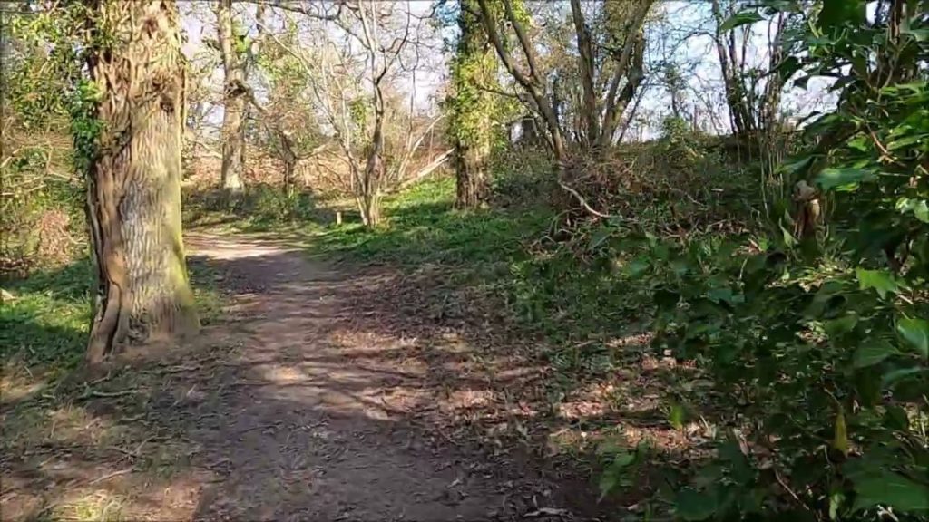 Virtual Walk - America Wood To Ninham Farm - Shanklin, Isle Of Wight - March 2022 | kittikoko