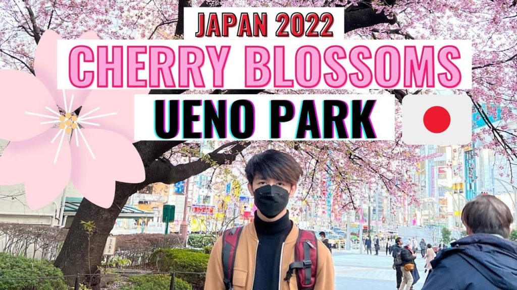 Part 1: π―π΅πΈ Ueno Park | Japan Cherry Blossom 2022 πΈπ―π΅ Part 1: π―π΅πΈ Ueno Park | Japan Cherry Blossom 2022 πΈπ―π΅