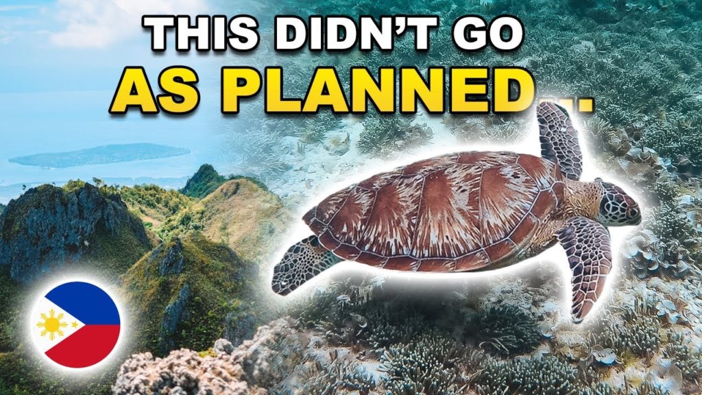 Exploring CEBU | Osmena Peak Gone WRONG & Swimming With TURTLES! 🇵🇭