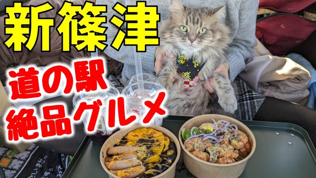お散歩と絶品グルメを堪能できる道の駅 しんしのつ！【猫旅】