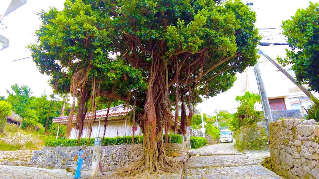 Naha in Okinawa. Walk on the cobblestones βͺ π 4K ASMR non-stop 1 hour 07 minutes Naha in Okinawa. Walk on the cobblestones βͺ π 4K ASMR non-stop 1 hour 07 minutes