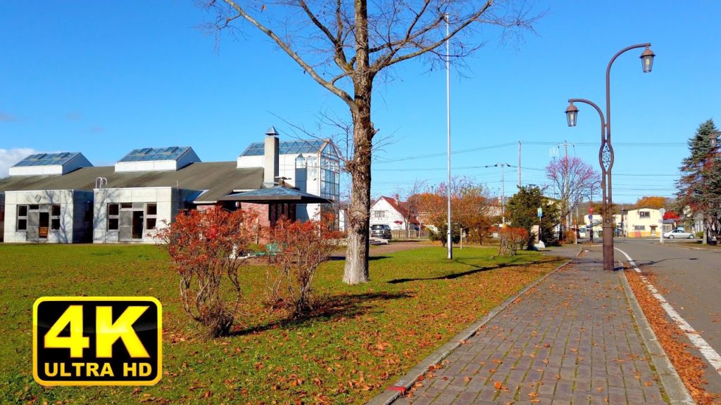 Okoppe, Hokkaido｜Japan Walking Tour【4K】