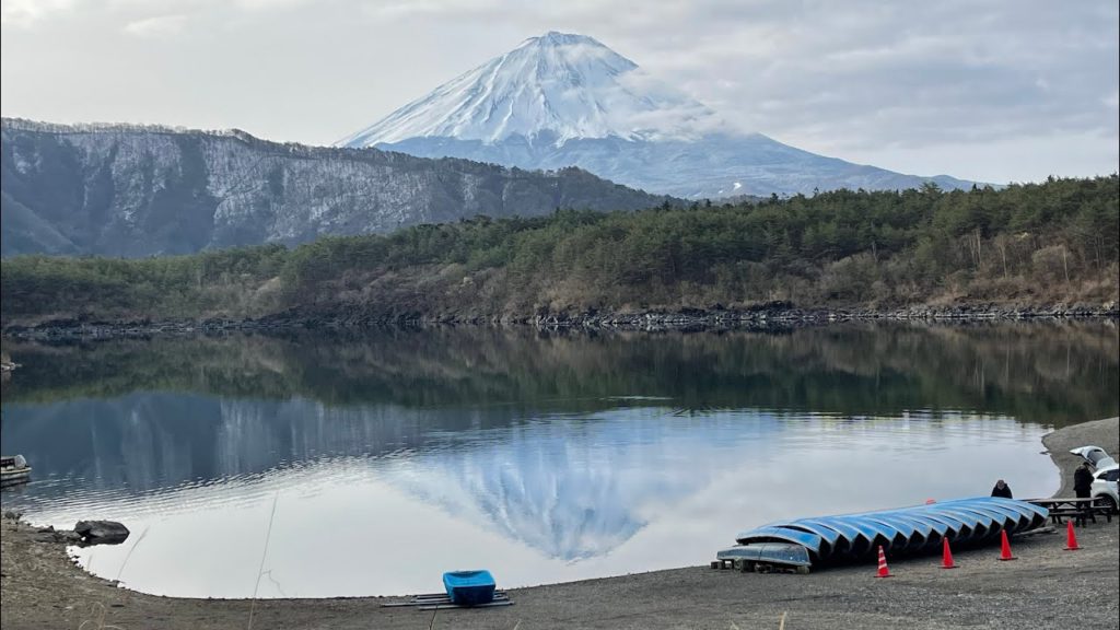 🔴Sakura Livestream Cherry Blossoms Day 7 - Sunrise Mt Fuji, Aokigahara 2022
