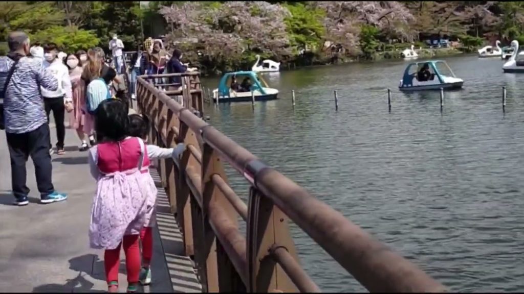 Here and there in Japan |Yokohama & other places