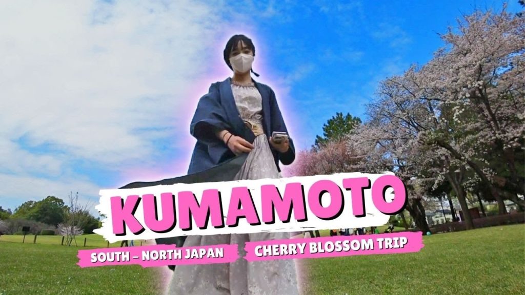 🌸CHERRY BLOSSOM TRIP FROM SOUTH TO NORTH JAPAN  | KUMAMOTO