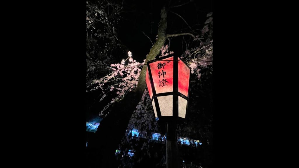 1分で春の静岡を満喫できる動画 🗻🌸🍣 1min spring travel to Shizuoka, Japan  #Shorts