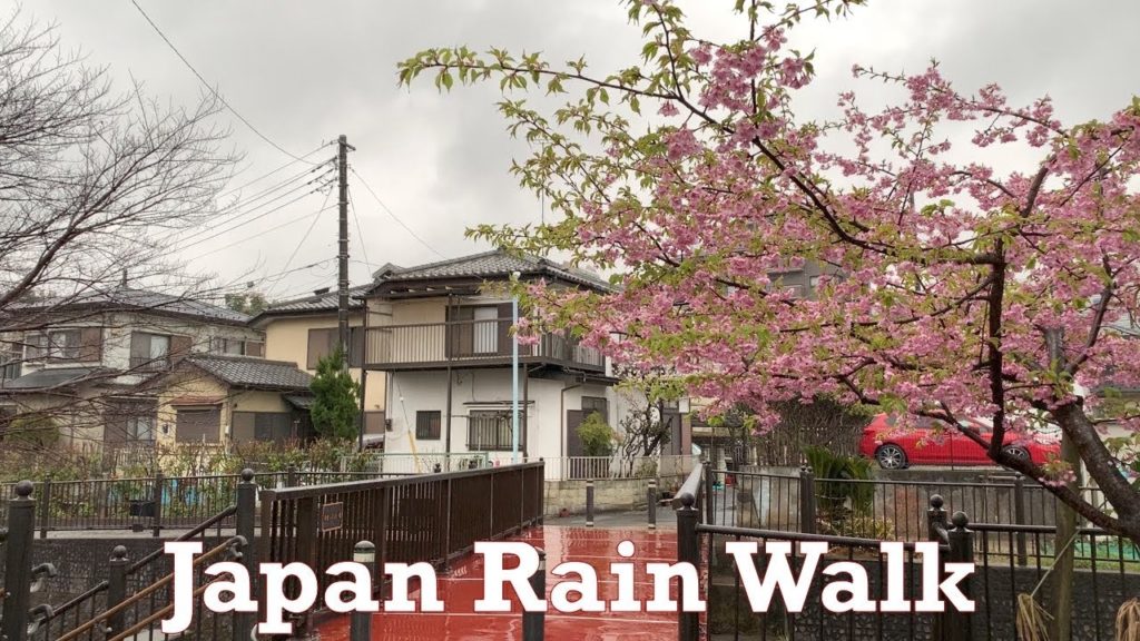 Japan Afternoon Rain Walk 2022.03.18 Ambience Sound Sleep Meditate Relax Tokyo Typhoon Downpour Japan Afternoon Rain Walk 2022.03.18 Ambience Sound Sleep Meditate Relax Tokyo Typhoon Downpour