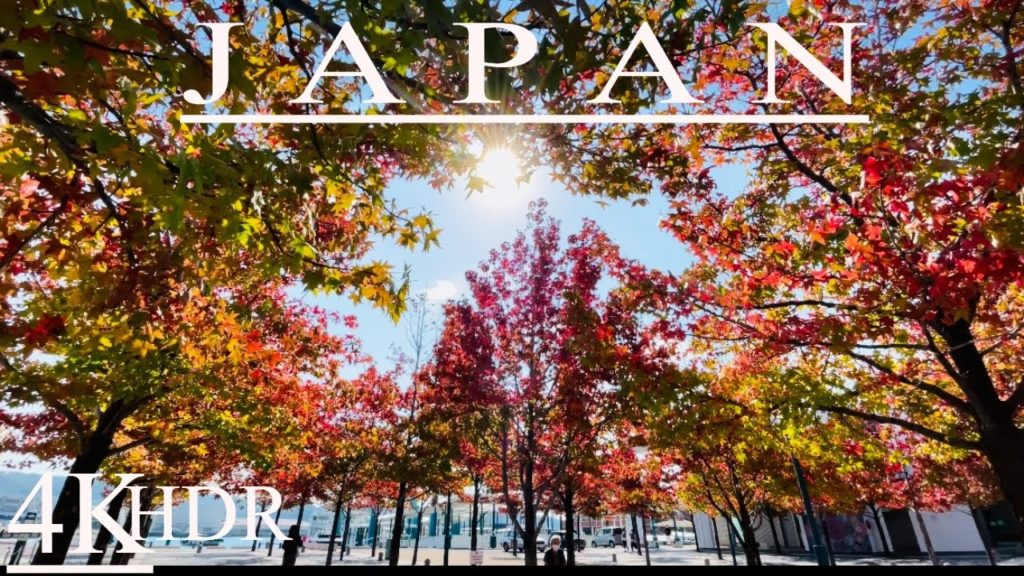 AUTUMN FEELS AT THE PORT OF SASEBO,NAGASAKI | 4K HDR JAPAN WALKING TOUR 2021 #new #japanwalk
