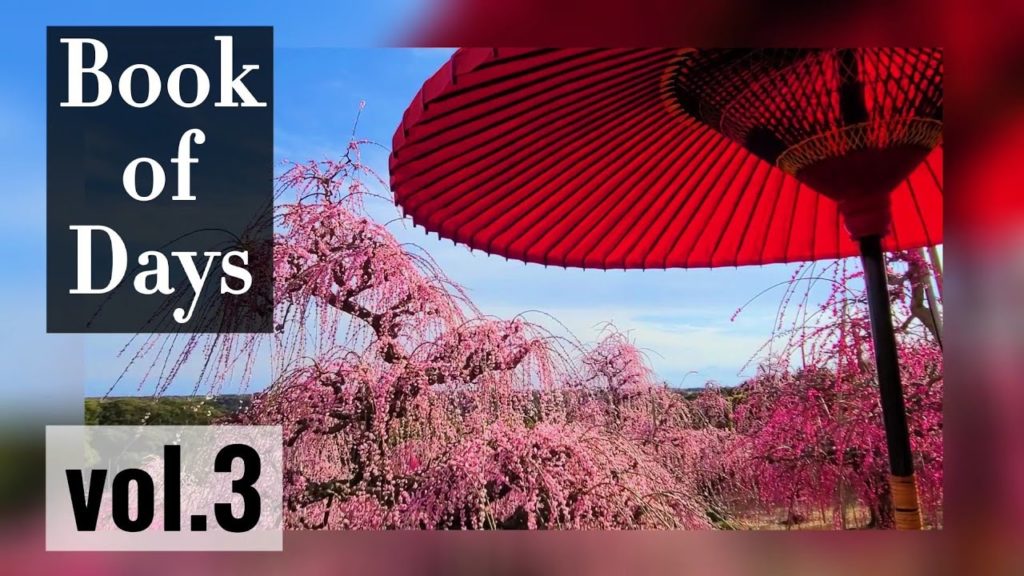 昇竜しだれ梅園│紅色花の絨毯│静岡県浜松市││Book of Days【vol.3】Japanese plum blossom│Hamamatsu city│Japan 昇竜しだれ梅園│紅色花の絨毯│静岡県浜松市││Book of Days【vol.3】Japanese plum blossom│Hamamatsu city│Japan