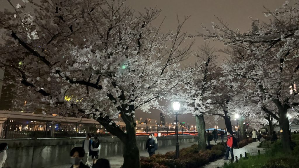 隅田公園の桜をちょっとだけライブ配信 アーカイブ 2022 / A little live stream of cherry blossoms in Sumida Park 2022 -Archive
