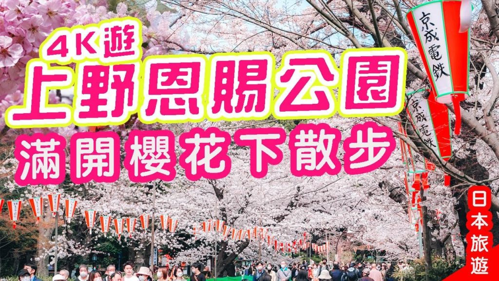 4K遊上野公園滿開櫻: 櫻並木-寬永寺-不忍池-上野東照宮-上野動物園｜#日本旅遊 #東京 #日本櫻花