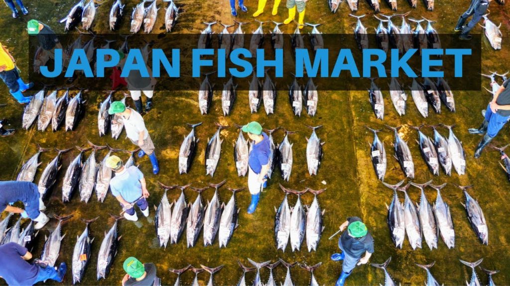 Largest Tuna Auction in Japan — Katsuura Fish Market
