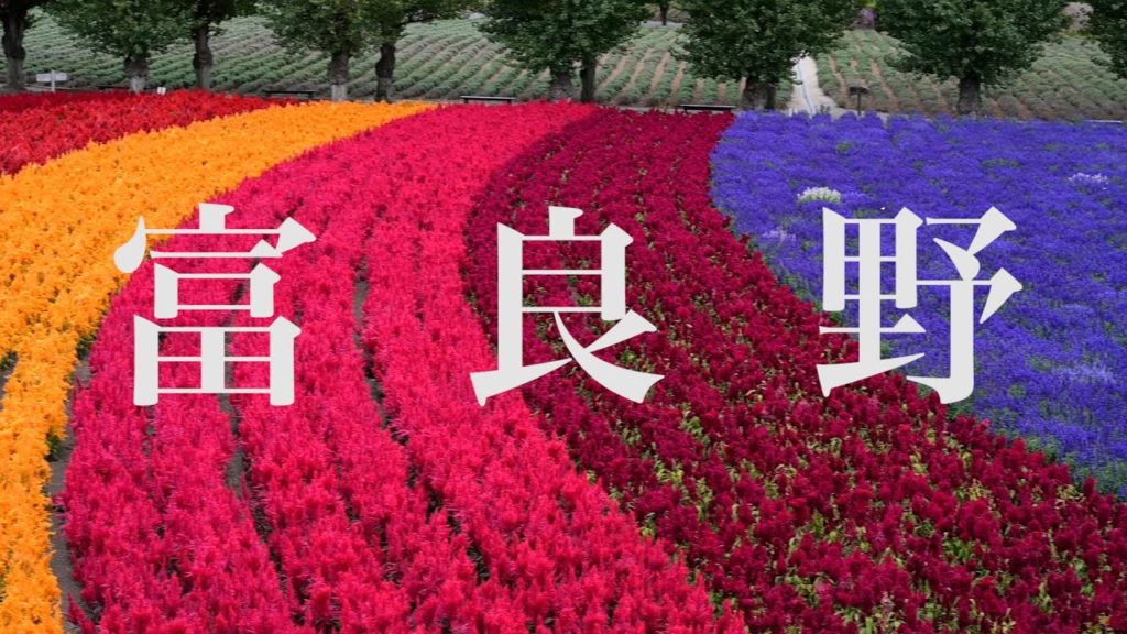 富良野 Furano | 美瑛 Biei | トマム Tomamu | 為了左營楊小姐 Chapter.14