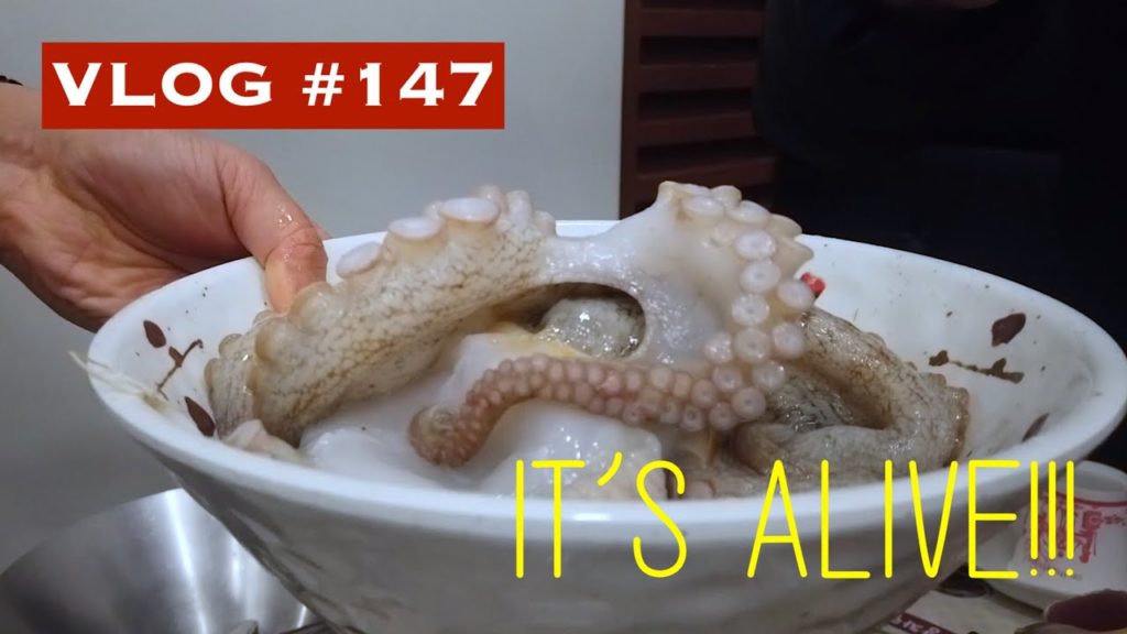 Vlog #147 - Cooking Live Octopus in South Korea *gulps*