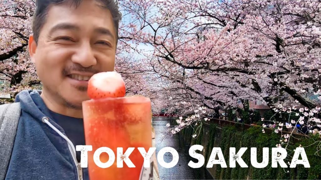 Most Popular Sakura Viewing Spot in Tokyo Most Popular Sakura Viewing Spot in Tokyo