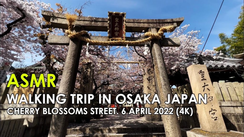 Cherry Blossoms street : Walking trip in Osaka Japan 4K (6 April 2022) . ASMR Cherry Blossoms street : Walking trip in Osaka Japan 4K (6 April 2022) . ASMR
