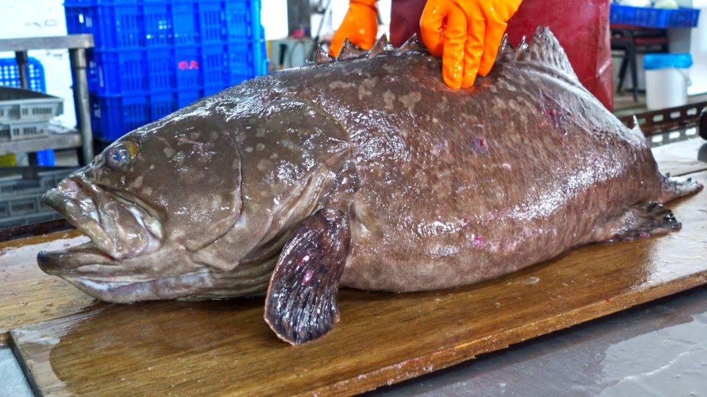 Monster fish!Giant Grouper Cutting Skills, Giant Grouper Steak/怪物級美味!巨大龍膽石斑切割技能, 石斑肉排-Taiwanese Food Monster fish!Giant Grouper Cutting Skills, Giant Grouper Steak/怪物級美味!巨大龍膽石斑切割技能, 石斑肉排-Taiwanese Food
