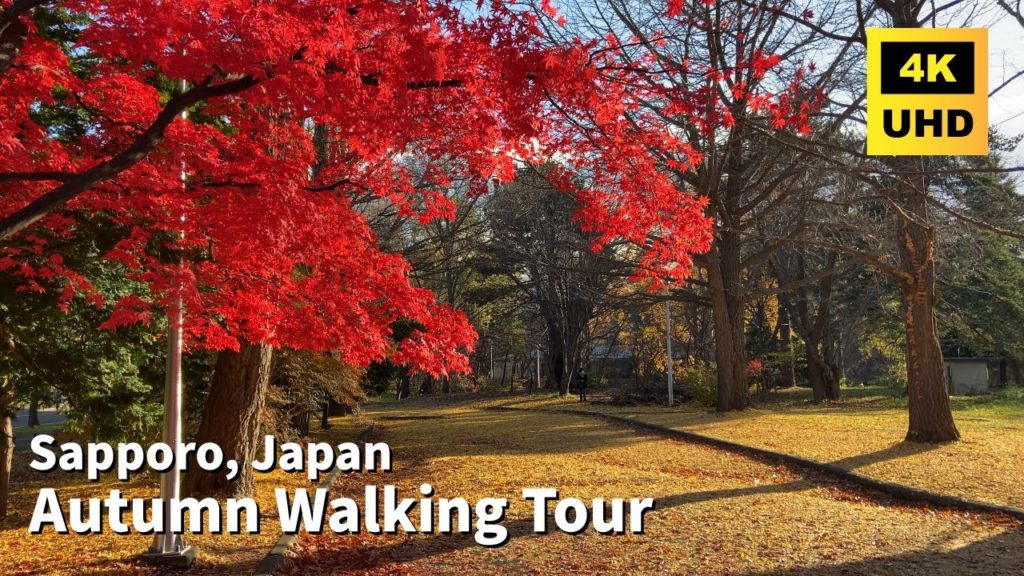 Late Autumn Walking Tour in Sapporo|Harmony of Autumn Leaves and the City|Hokkaido, Japan|4K UHD Late Autumn Walking Tour in Sapporo|Harmony of Autumn Leaves and the City|Hokkaido, Japan|4K UHD