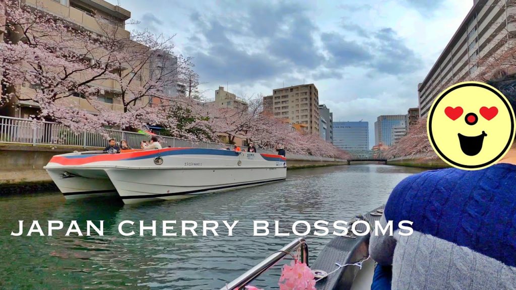 4K Japan Walk – Sumida River Cherry Blossom #sakura river 4K Japan Walk - Sumida River Cherry Blossom #sakura river