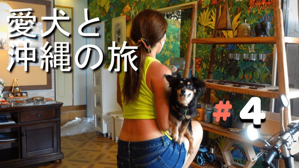 Traveling with Dog Around Okinawa Japan