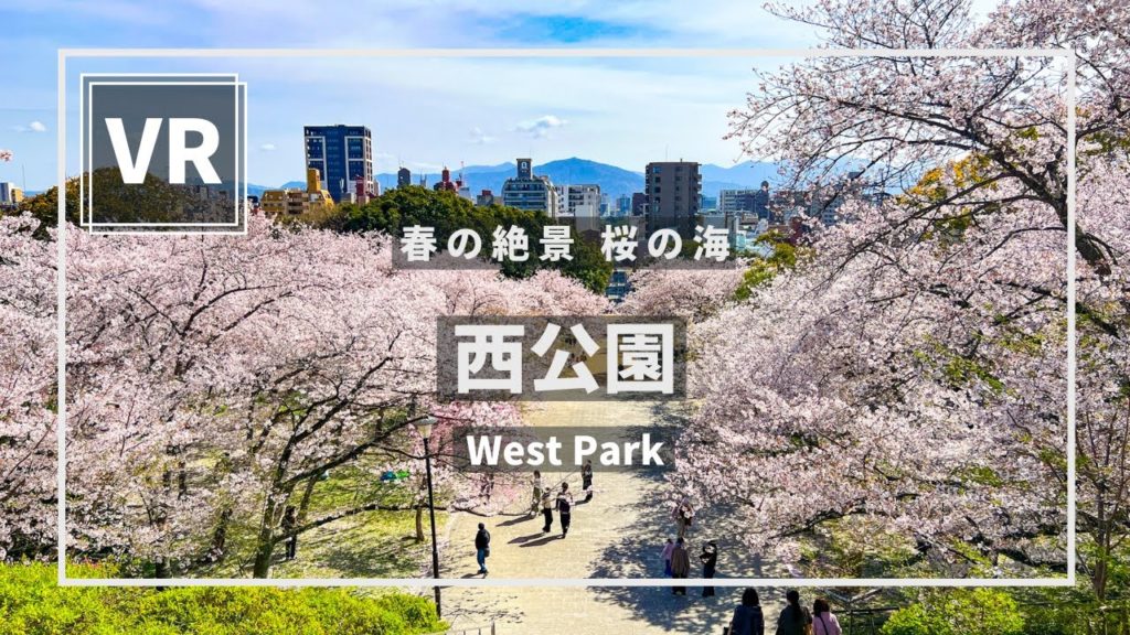 《 5.7K VR 高画質 》桜の名所100選[ 360°Japan Travel ]西公園　福岡県中央区　Fukuoka　VRゴーグル推奨