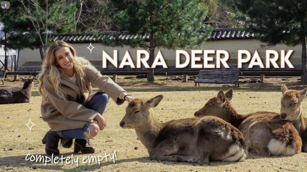 NARA DEER PARK – EMPTY! | A DAY TRIP TO NARA, JAPAN 🦌 (奈良公園) NARA DEER PARK - EMPTY! | A DAY TRIP TO NARA, JAPAN 🦌 (奈良公園)