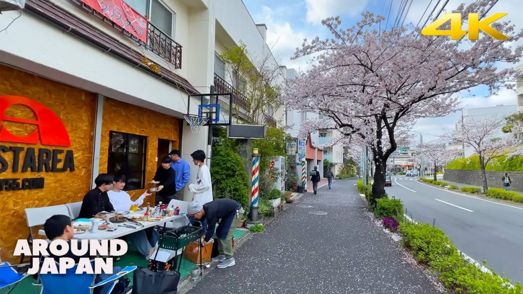 🇯🇵 Cherry Blossom Around Aobadai Station – 2022 Yokohama・4K 🇯🇵 Cherry Blossom Around Aobadai Station - 2022 Yokohama・4K