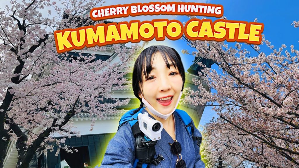 🌸CHERRY BLOSSOM TRIP in JAPAN | KUMAMOTO DAY - 2