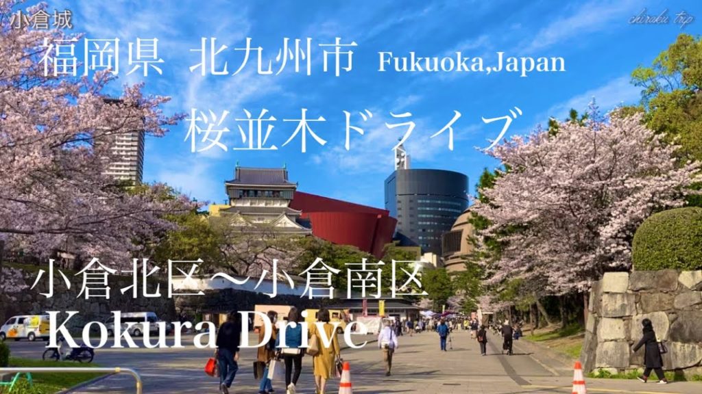 福岡県 北九州市 / おすすめの美しい桜並木 / 小倉北区〜小倉南区【ドライブvlog】 福岡県 北九州市 / おすすめの美しい桜並木 / 小倉北区〜小倉南区【ドライブvlog】