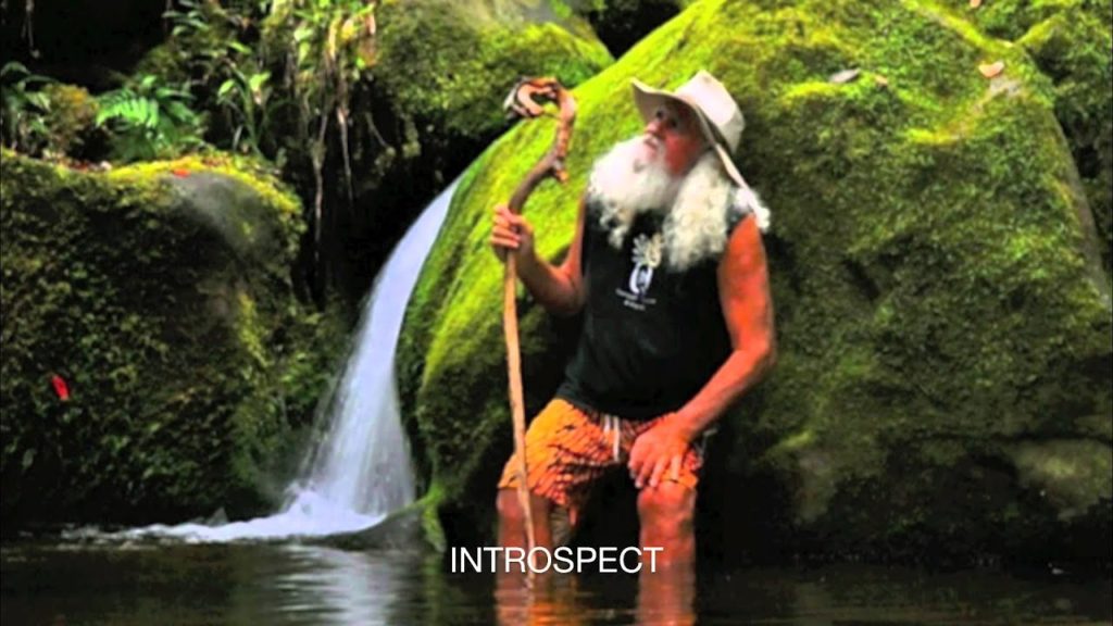 Zen Turtle Tour with KauaiQuest Adventures 1-888-985-2824