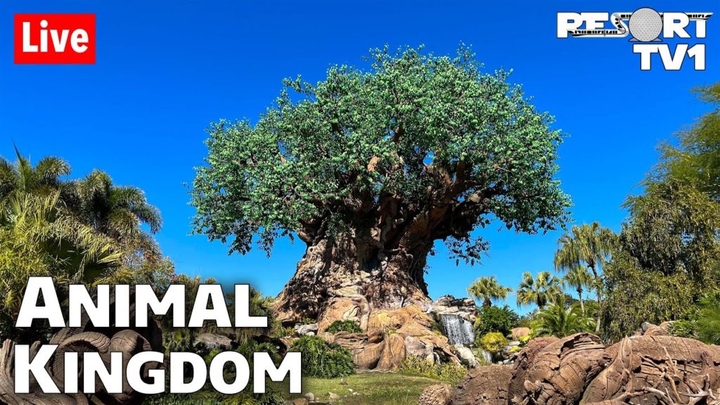 🔴Live: A Wild Time at Disney's Animal Kingdom - Walt Disney World Live Stream - 4-1-22