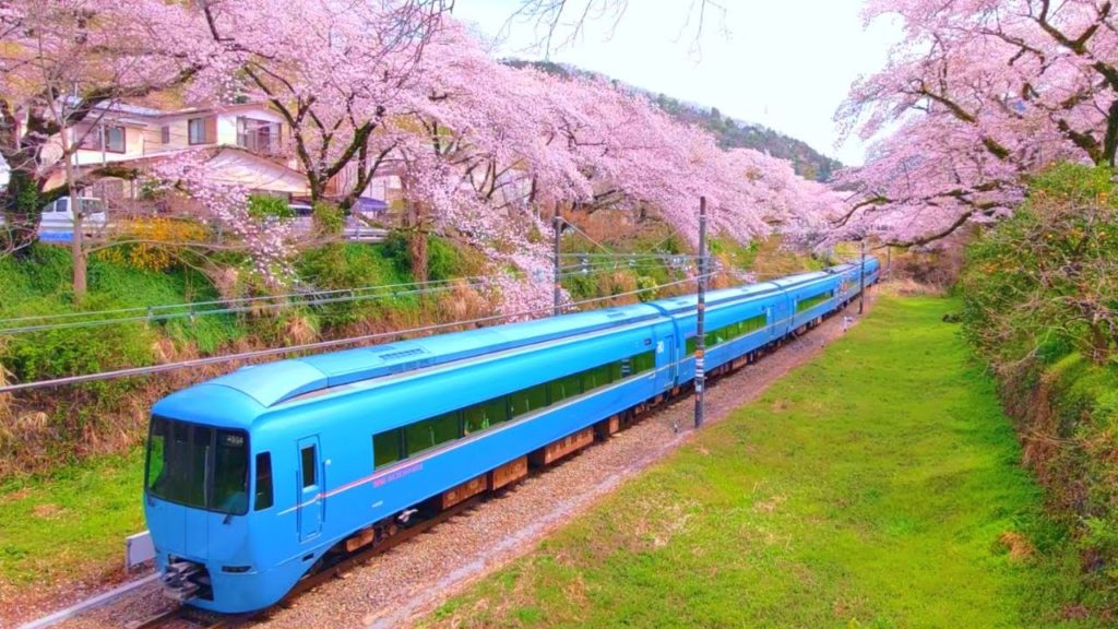 綺麗すぎる桜のトンネル!その下を青い特急ロマンスカーが通過。JR東海御殿場線山北駅で撮り鉄してきた 綺麗すぎる桜のトンネル!その下を青い特急ロマンスカーが通過。JR東海御殿場線山北駅で撮り鉄してきた